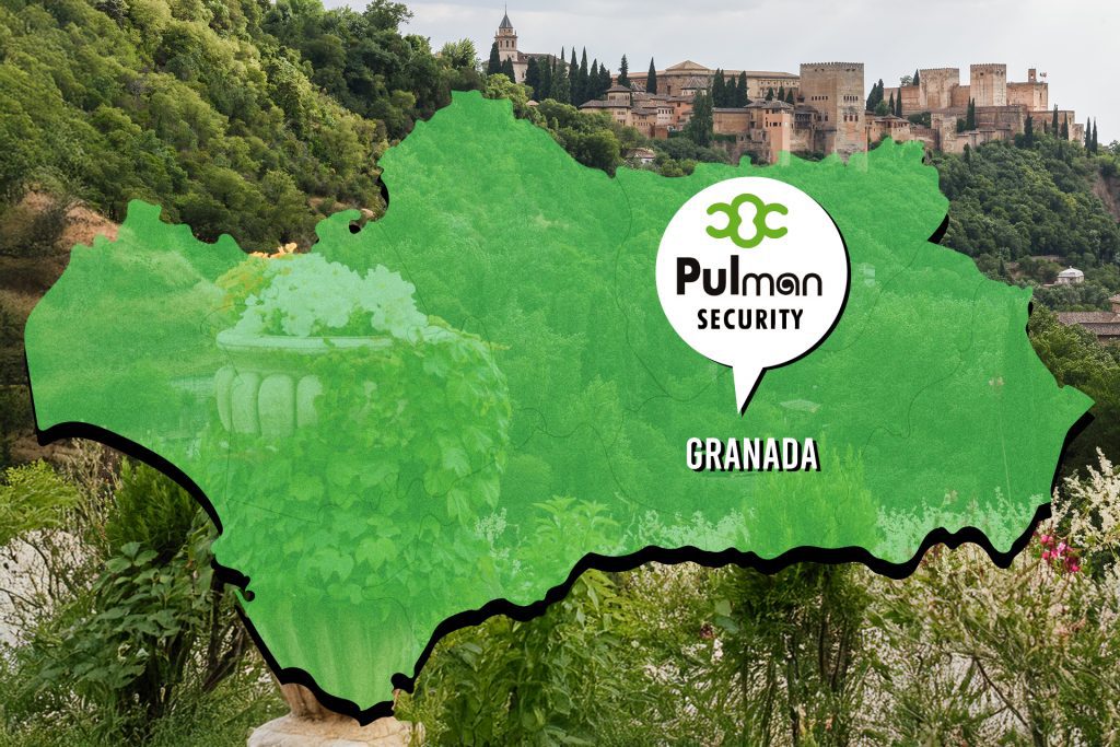 Seguridad privada en Granada